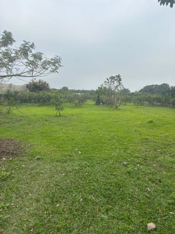 大內農地-1