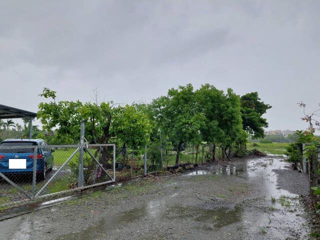 屏東崁頂農地-2