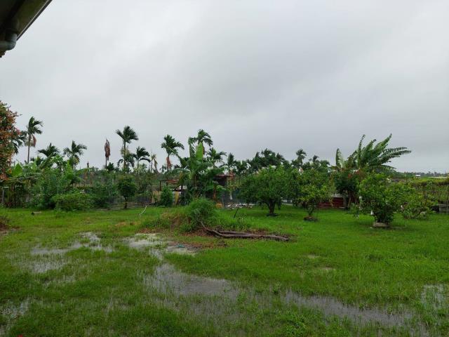 屏東崁頂農地-3