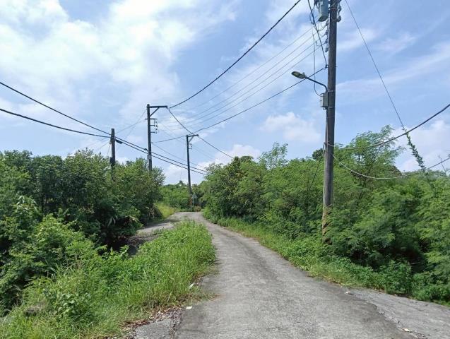 新化農地-0
