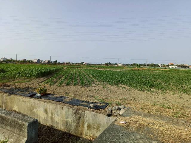 台南學甲農地-2
