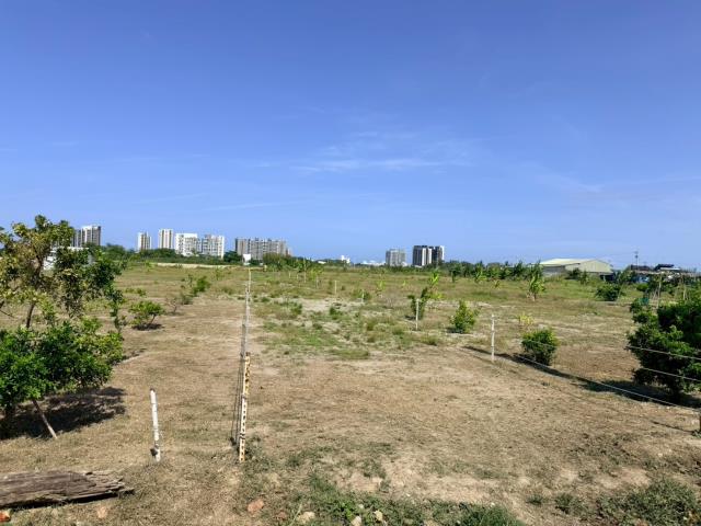 仁德農地-2