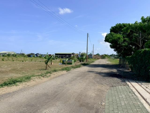 仁德農地-4