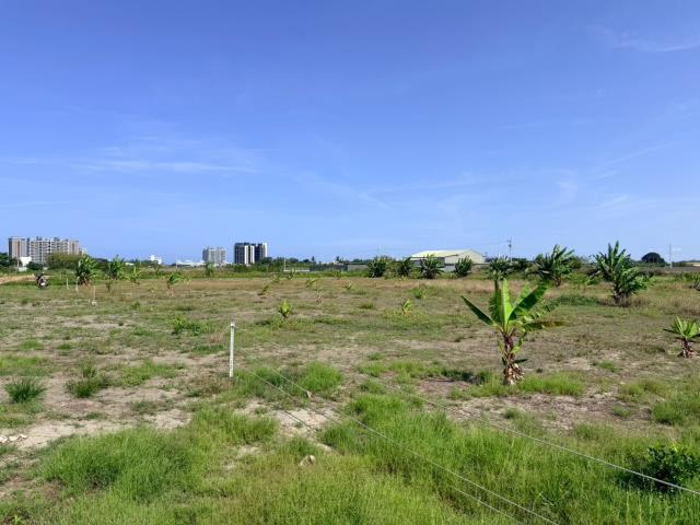 仁德農地-5
