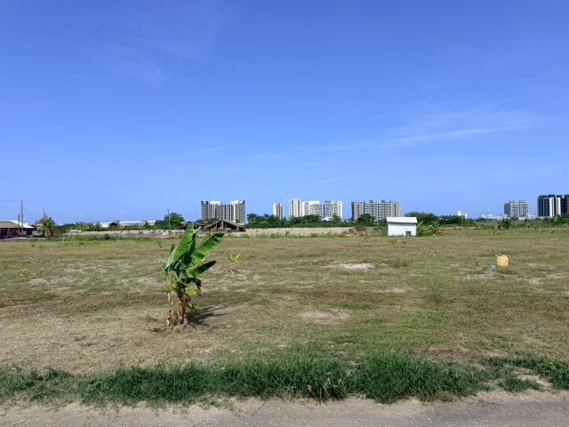 仁德農地-6