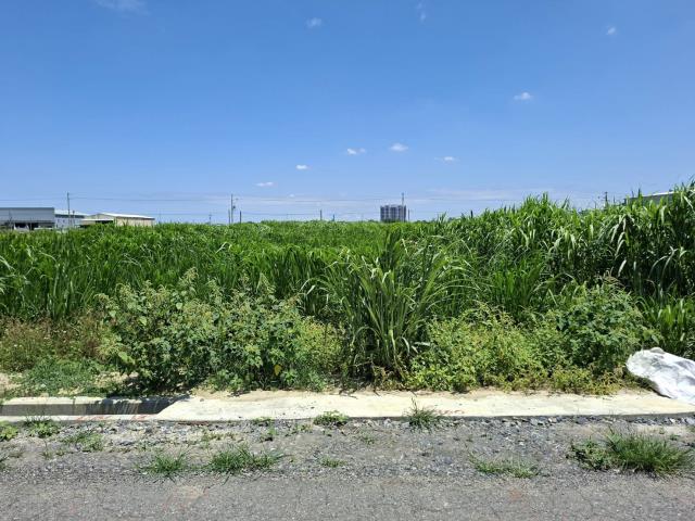 歸仁農地-4