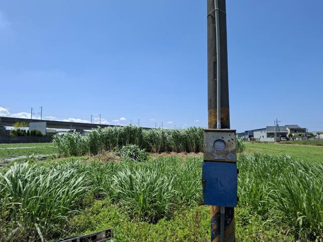 歸仁農地-6