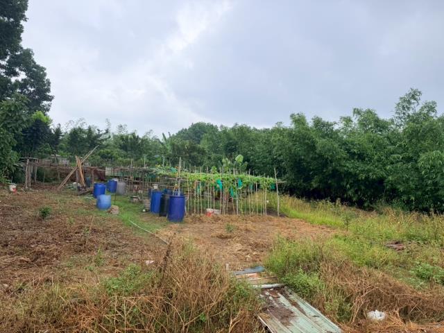 台南關廟農地-4