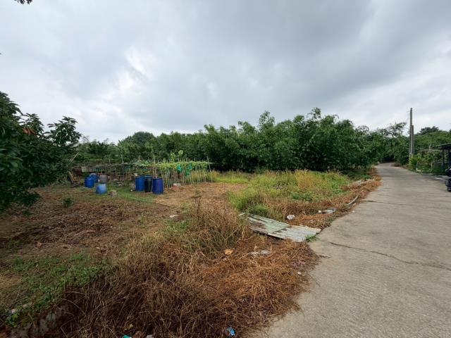 台南關廟農地-5