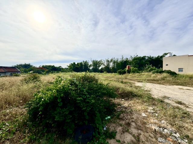 關廟農地-1