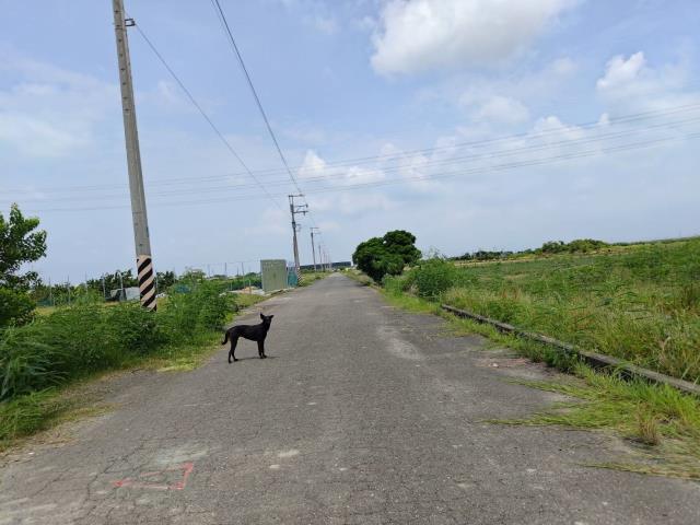 佳里農地-0