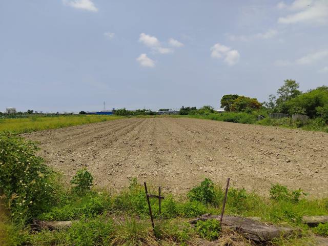 佳里農地-1