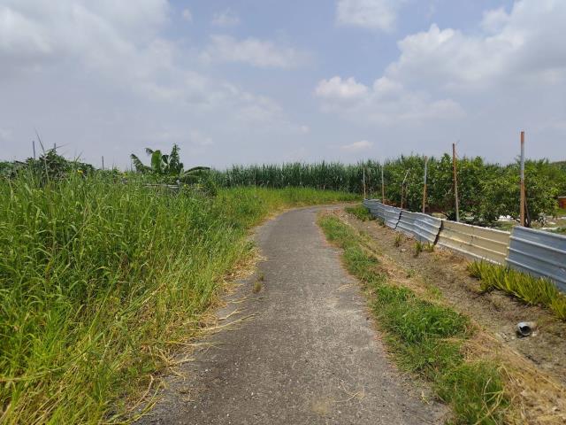 麻豆農地-4