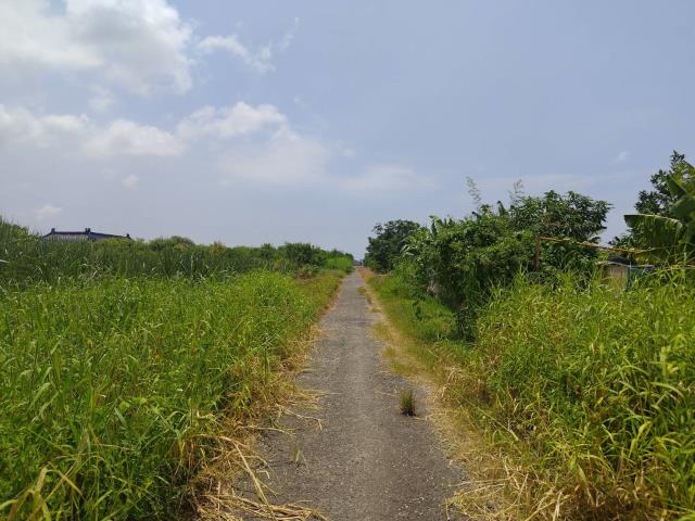 麻豆農地-7